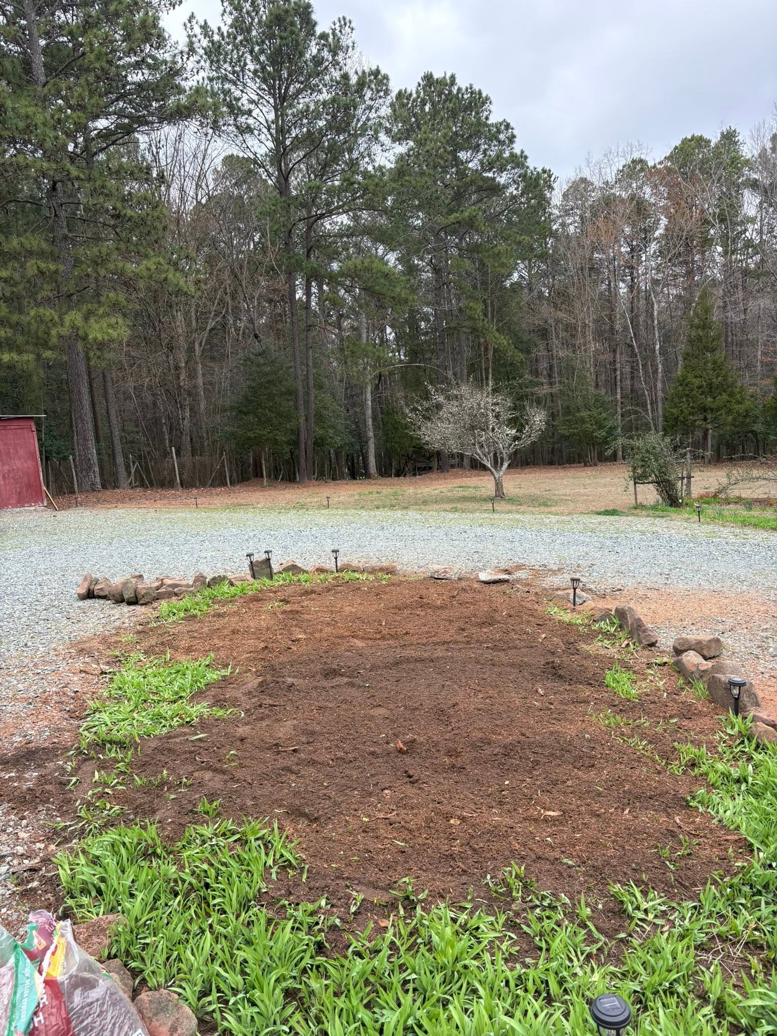 Driveway Stump Removal — after