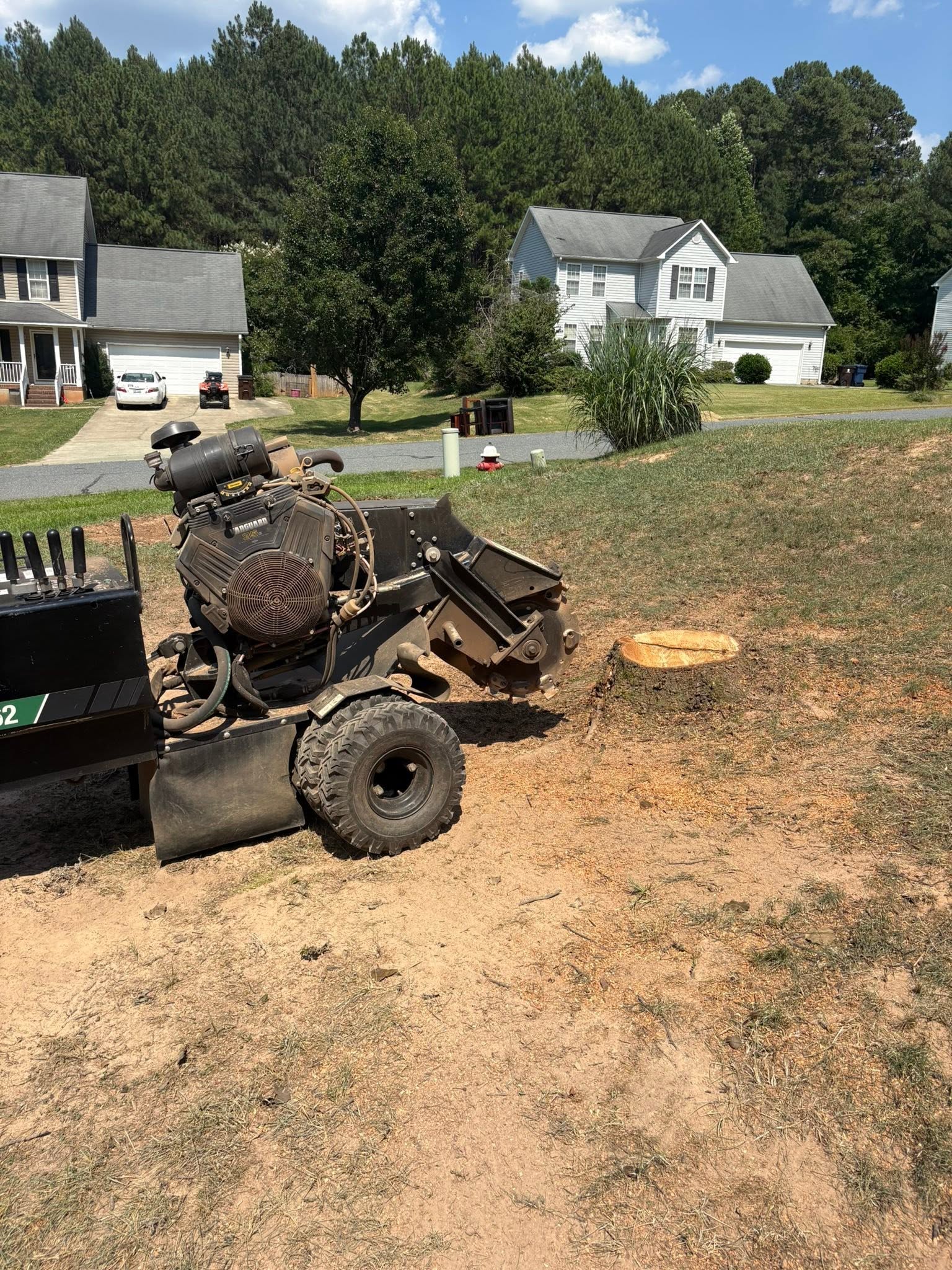 Residential Stump Removal — before