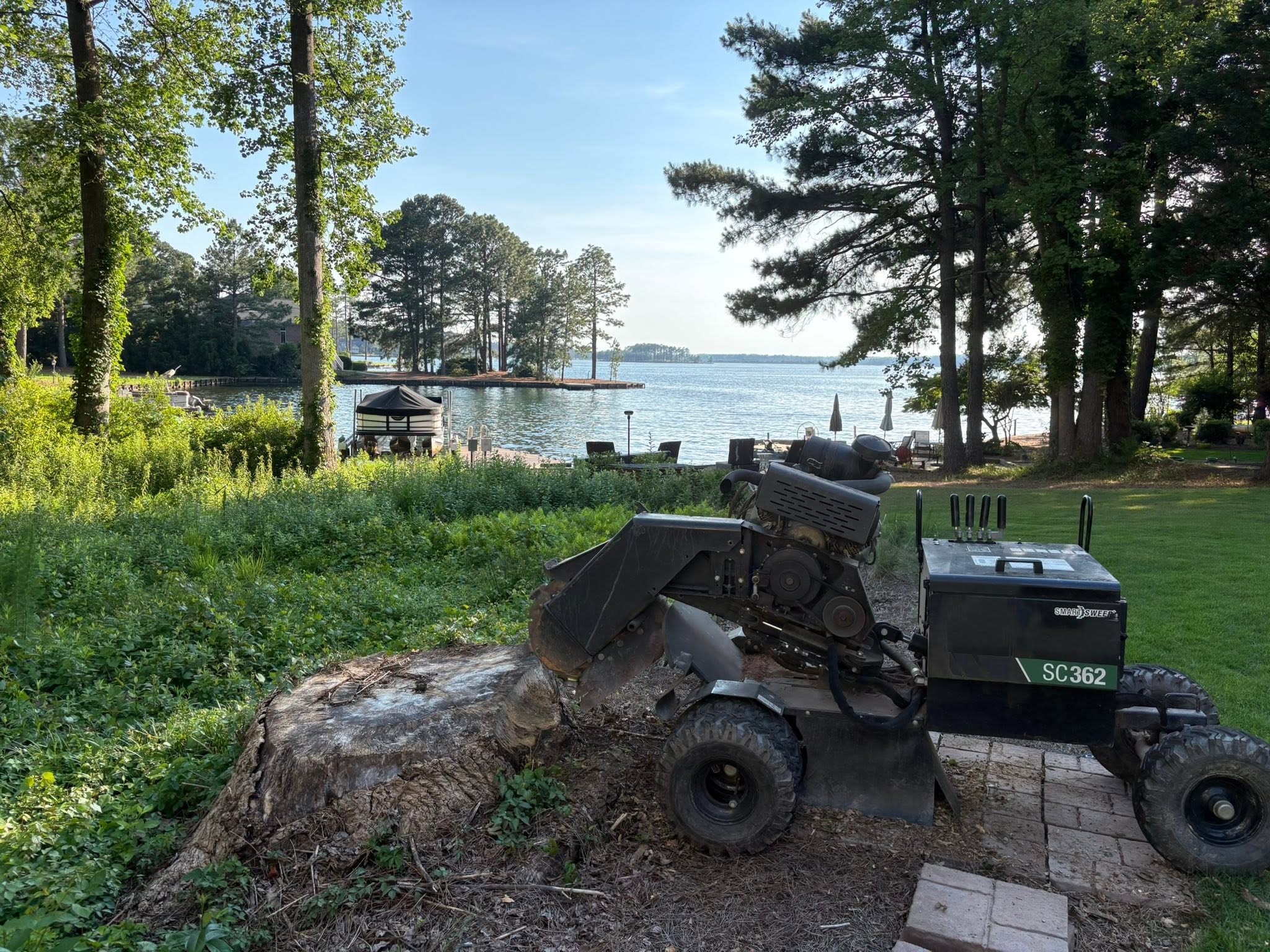 Commercial Stump Removal